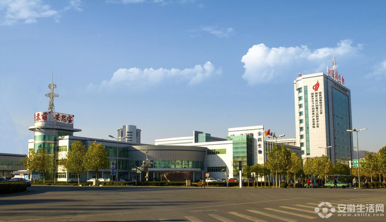 waijing.jpg