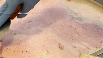 6.gif