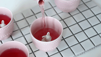 MVI_4337.MOV_1499675109.gif