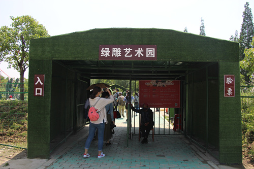 IMG_7970.jpg