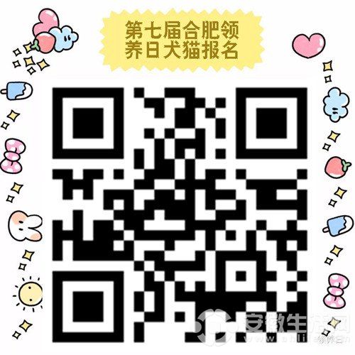 184552pfe901z7mfp5l9le.jpg
