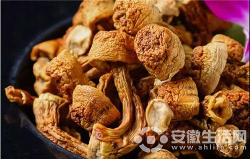 微信圖片_20180828111801.jpg