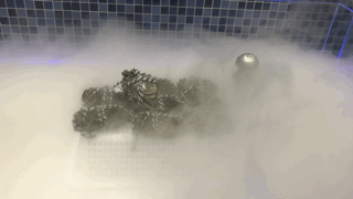 ΢ňDƬ_20181015095247.gif