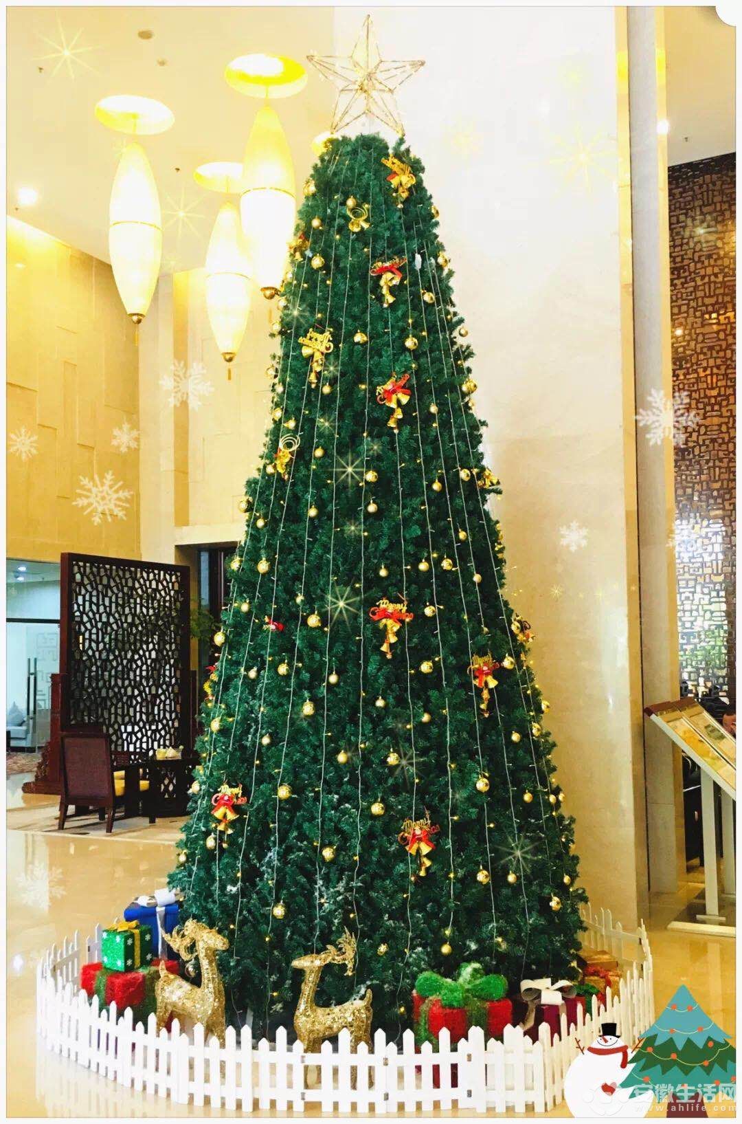 ΢ňDƬ_20181219111813.jpg