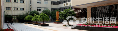 DƬ18.png