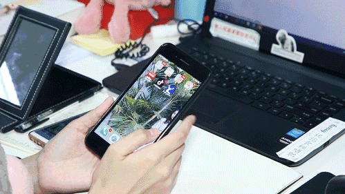 12.gif
