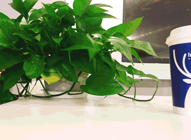 7.gif