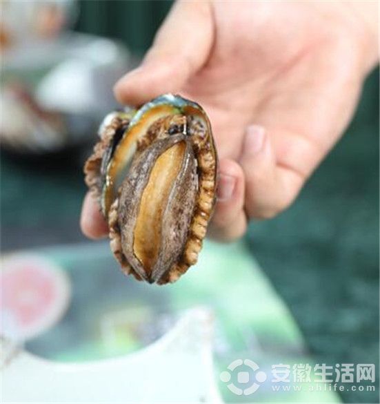 QQ؈D20190522151941.jpg